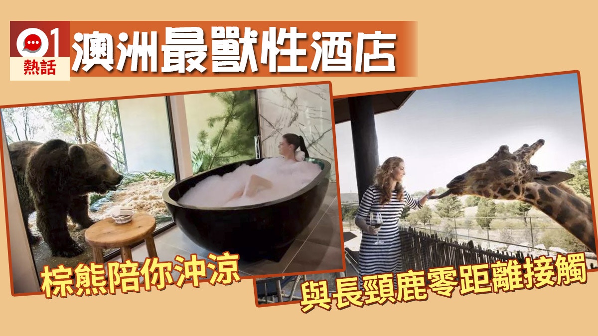【澳洲旅遊】與獅子老虎長頸鹿同眠　澳洲爺爺建世上最狂野酒店