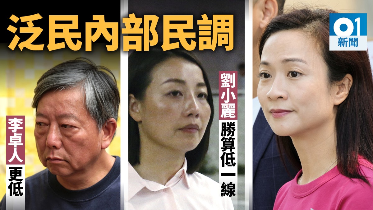 【劉小麗被DQ】內部民調指陳凱欣拋離劉小麗 換上李卓人又如何? 【劉小麗被DQ】內部民調指陳凱欣拋離劉小麗 換上李卓人又如何?