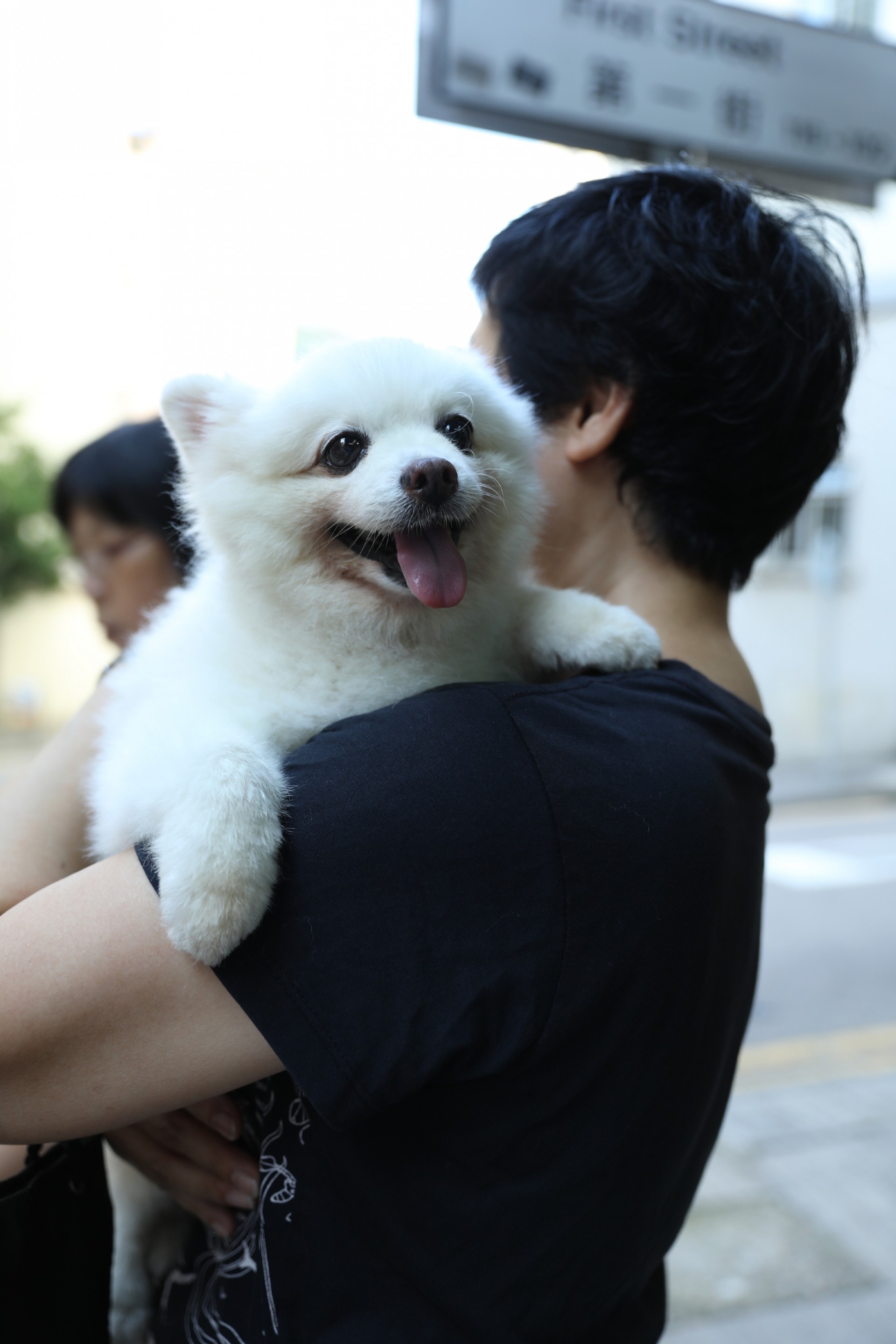 「添爺」在會面過程中非常乖巧,終使許太及其女兒決心收養。(吳嘉俊攝) 「添爺」在會面過程中非常乖巧,終使許太及其女兒決心收養。(吳嘉俊攝)