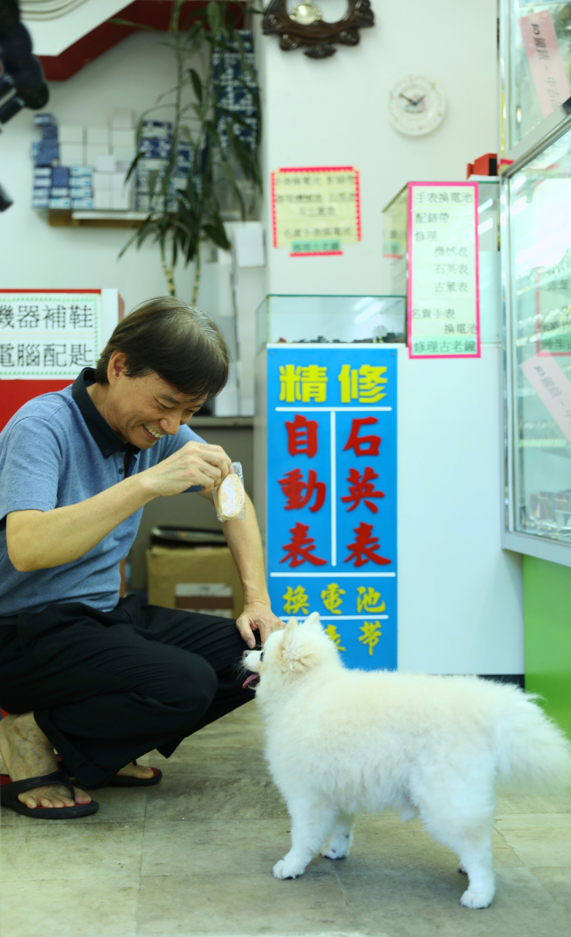鐘錶店東主張先生從沒把「添爺」趕走。(吳嘉俊攝) 鐘錶店東主張先生從沒把「添爺」趕走。(吳嘉俊攝)