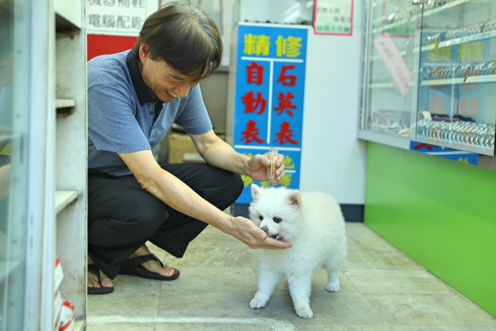 只要一拿出食物,「添爺」便會任你擺佈。(吳嘉俊攝) 只要一拿出食物,「添爺」便會任你擺佈。(吳嘉俊攝)