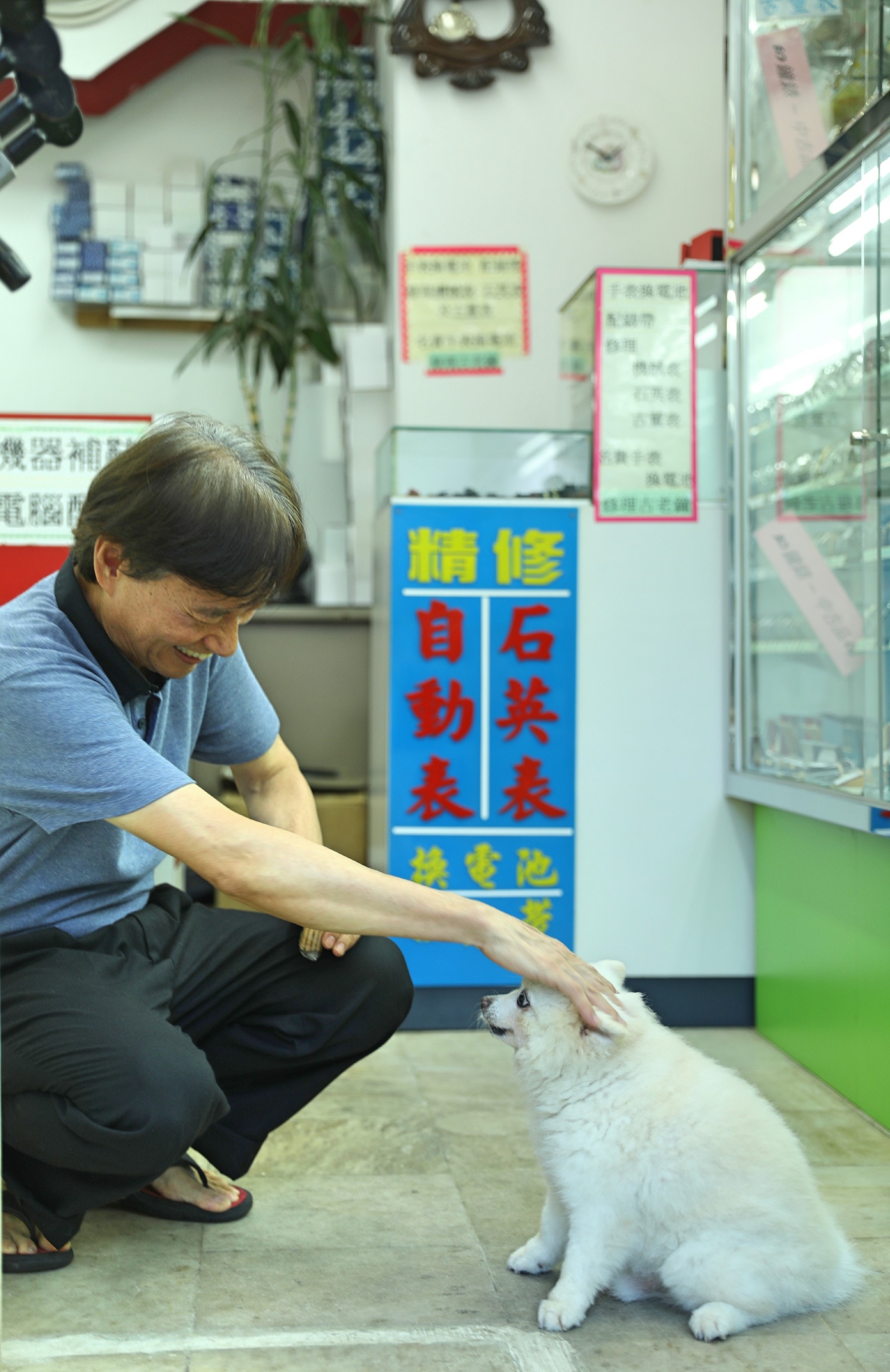 年屆12歲的「添爺」的確非常精靈。(吳嘉俊攝) 年屆12歲的「添爺」的確非常精靈。(吳嘉俊攝)