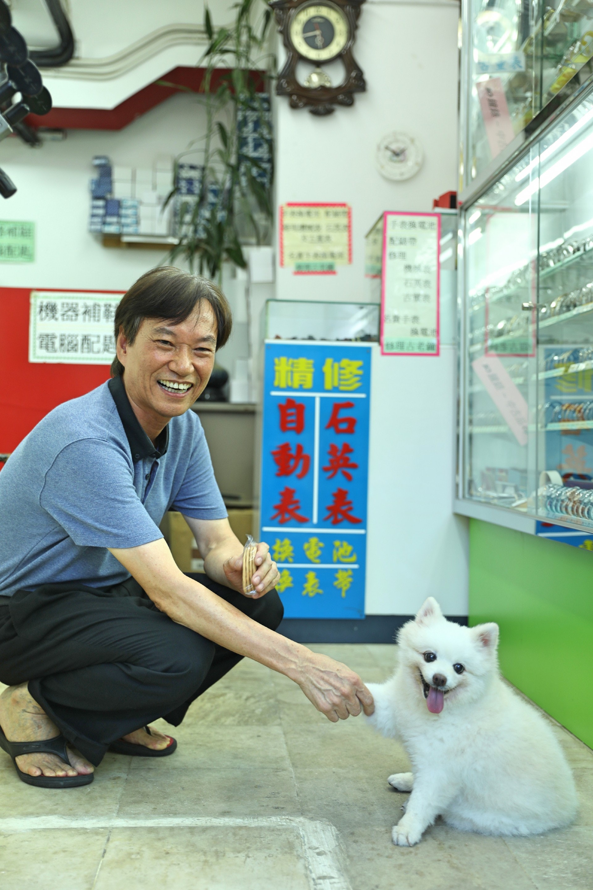 張先生大讚「添爺」帥氣及乖巧。(吳嘉俊攝) 張先生大讚「添爺」帥氣及乖巧。(吳嘉俊攝)