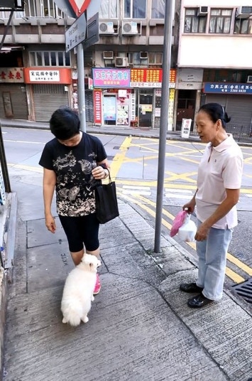 許生自豪地指由2歲至80歲的街坊都難以抵擋「添爺」的魅力。(吳嘉俊攝) 許生自豪地指由2歲至80歲的街坊都難以抵擋「添爺」的魅力。(吳嘉俊攝)