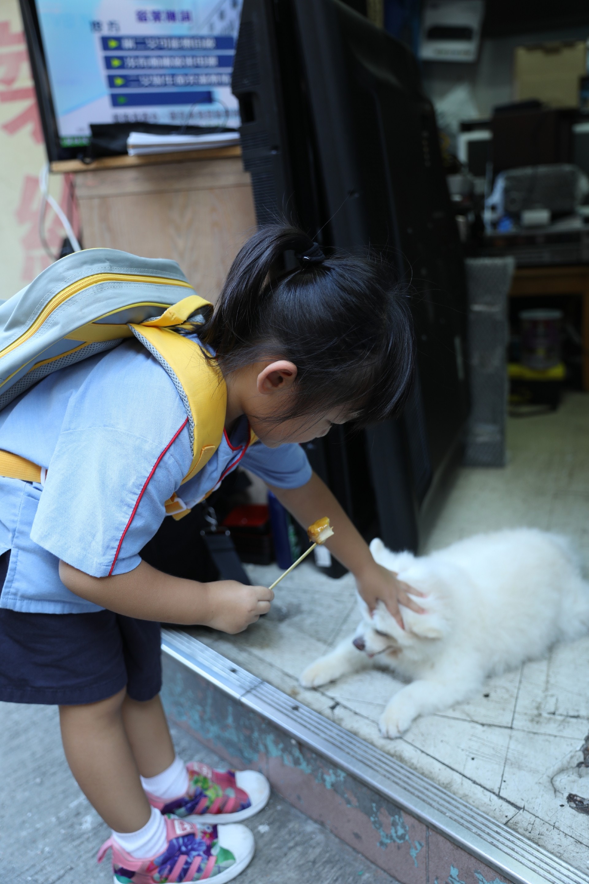 據聞這位5歲的妹妹每天都會來摸「添爺」。(吳嘉俊攝) 據聞這位5歲的妹妹每天都會來摸「添爺」。(吳嘉俊攝)