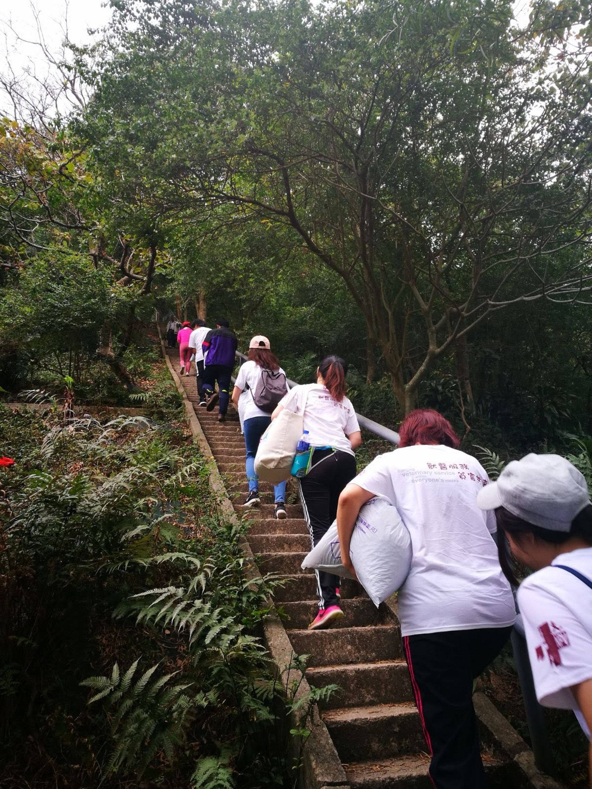 義工亦會定期送糧上山,確保山上流浪狗有足夠的食物,不會下山打擾民居。(相片由NPV提供) 義工亦會定期送糧上山,確保山上流浪狗有足夠的食物,不會下山打擾民居。(相片由NPV提供)