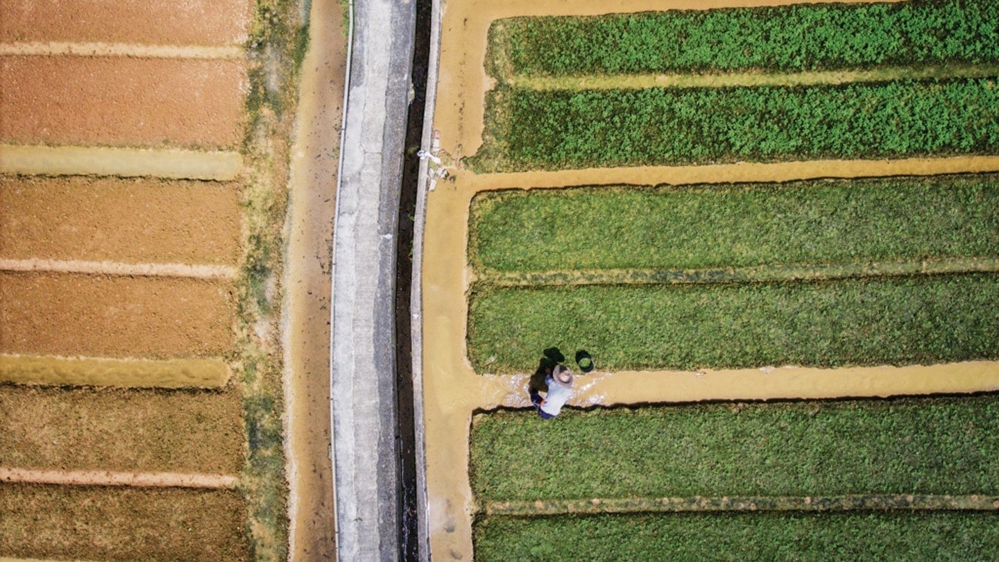常耕農地僅佔整體農地面積16% 農夫憂隨時被收地不敢投放資源