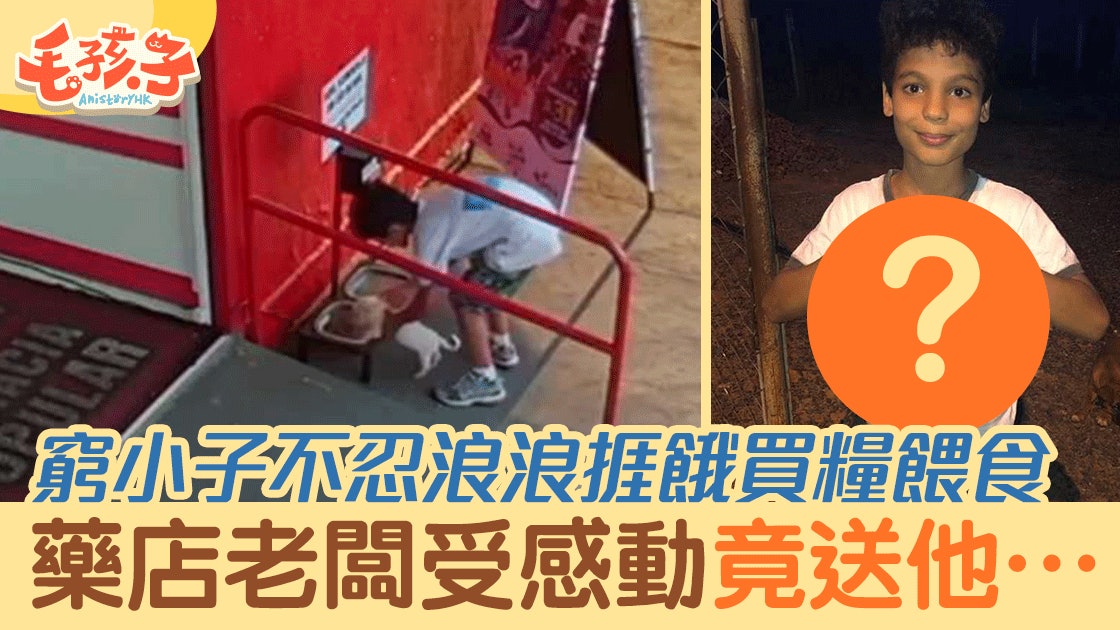 不忍流浪狗捱餓 窮小子塞牠入書包餵食物 獲藥店老闆犒賞! 不忍流浪狗捱餓 窮小子塞牠入書包餵食物 獲藥店老闆犒賞!