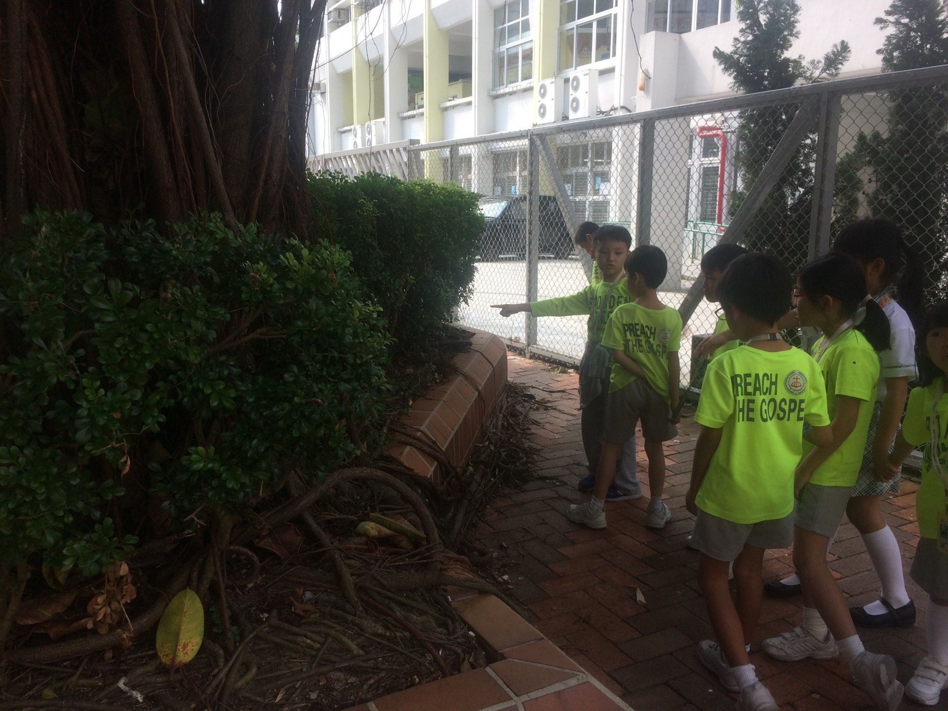 (浸信會天虹小學圖片) (浸信會天虹小學圖片)