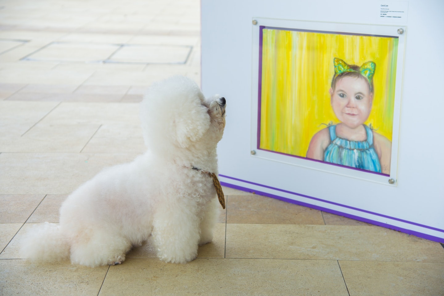 去年,赤柱廣場曾舉辦「文青狗狗藝術展」,展出不少特地迎合狗狗視覺光譜的畫作。(資料圖片) 去年,赤柱廣場曾舉辦「文青狗狗藝術展」,展出不少特地迎合狗狗視覺光譜的畫作。(資料圖片)