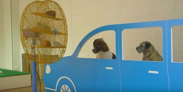 除了畫作外,場內大多設施也是黃色及藍色。(MORE TH>N pet insurance 網頁) 除了畫作外,場內大多設施也是黃色及藍色。(MORE TH>N pet insurance 網頁)