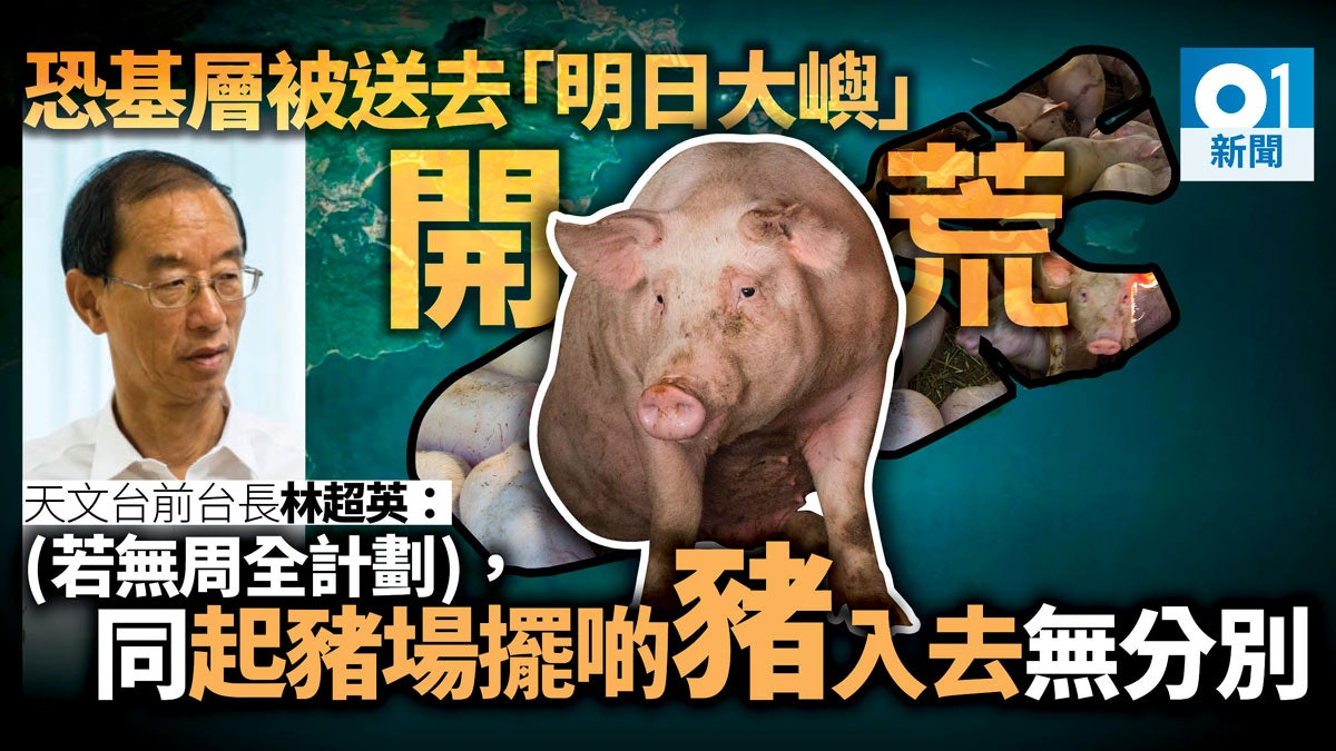 【明日大嶼】林超英稱必須有周詳計劃:唔係同豬場擺豬入去無分別 【明日大嶼】林超英稱必須有周詳計劃:唔係同豬場擺豬入去無分別
