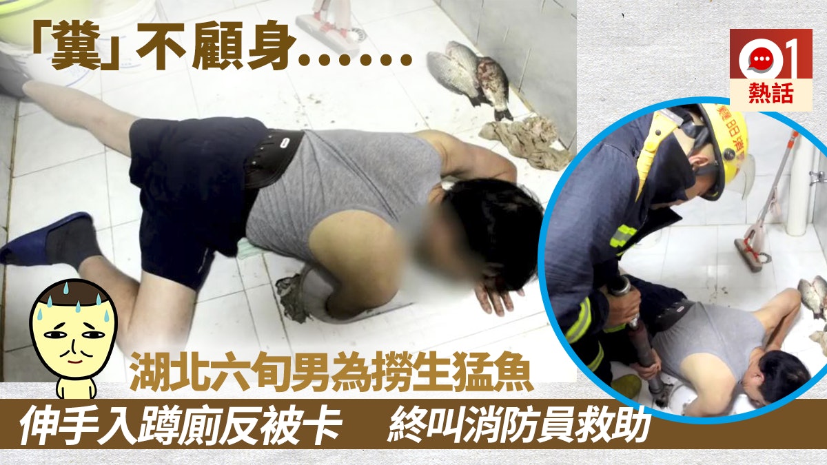 【臭到爆】生猛鮮魚跳入蹲廁 湖北六旬阿伯伸手進廁所撈魚反被卡 【臭到爆】生猛鮮魚跳入蹲廁 湖北六旬阿伯伸手進廁所撈魚反被卡