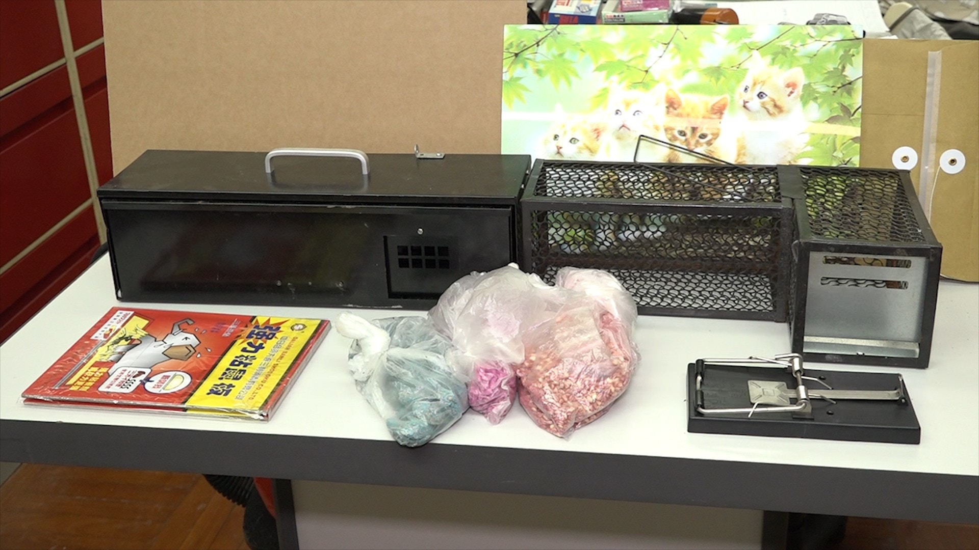 捕鼠器及毒鼠餌有多款,惟家貓變成寵物,最不實用。(王海圖攝) 捕鼠器及毒鼠餌有多款,惟家貓變成寵物,最不實用。(王海圖攝)