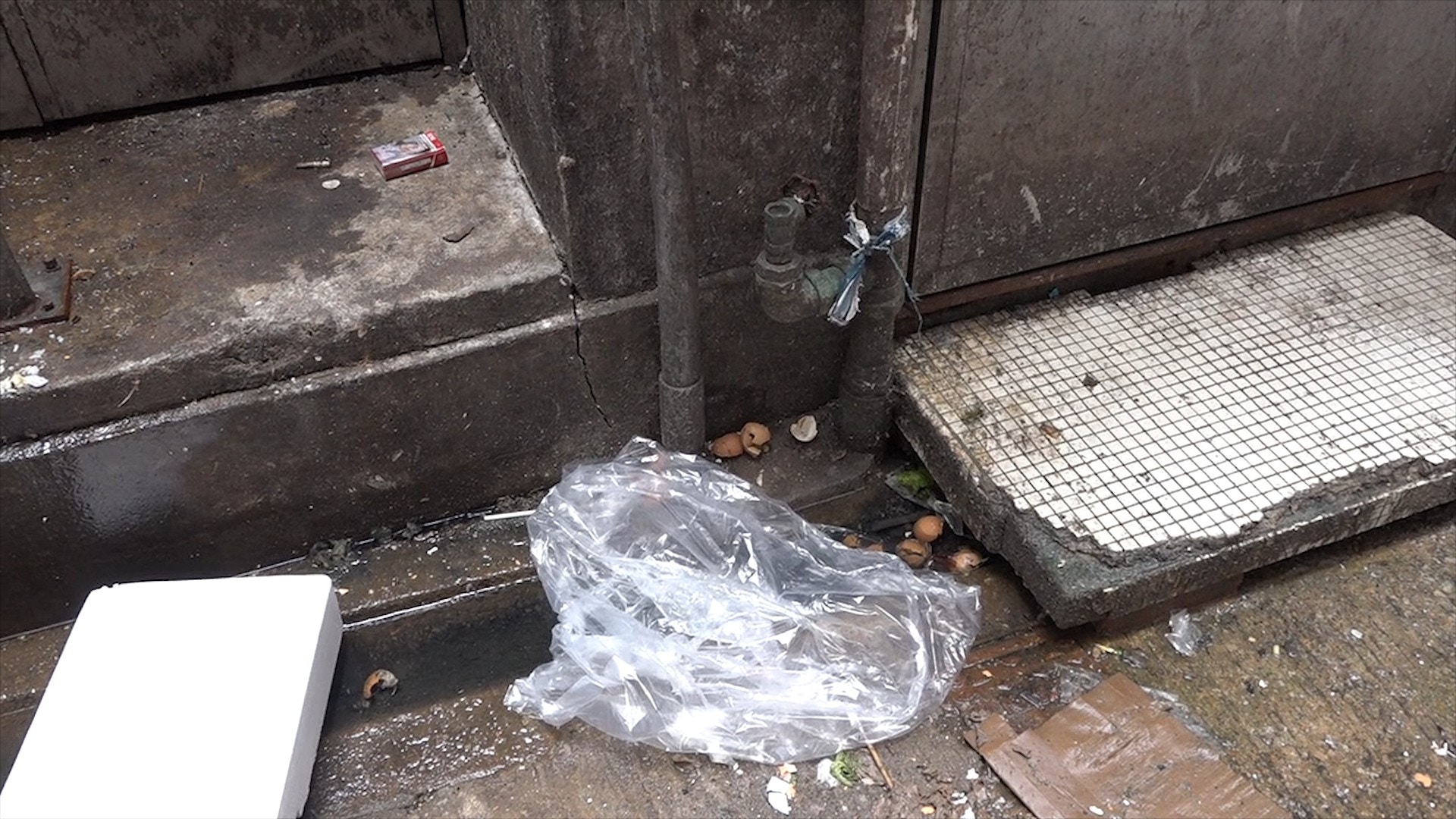 記者在灣仔的後巷發現雞蛋殼,如此美食,老鼠不用吃鼠餌。(王海圖攝) 記者在灣仔的後巷發現雞蛋殼,如此美食,老鼠不用吃鼠餌。(王海圖攝)