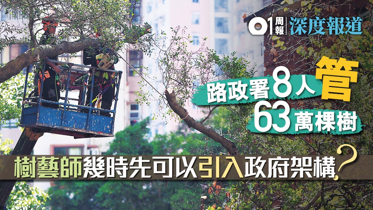 【山竹過後】新晉樹藝師前路不明 人力資源規劃過分遲緩 【山竹過後】新晉樹藝師前路不明 人力資源規劃過分遲緩