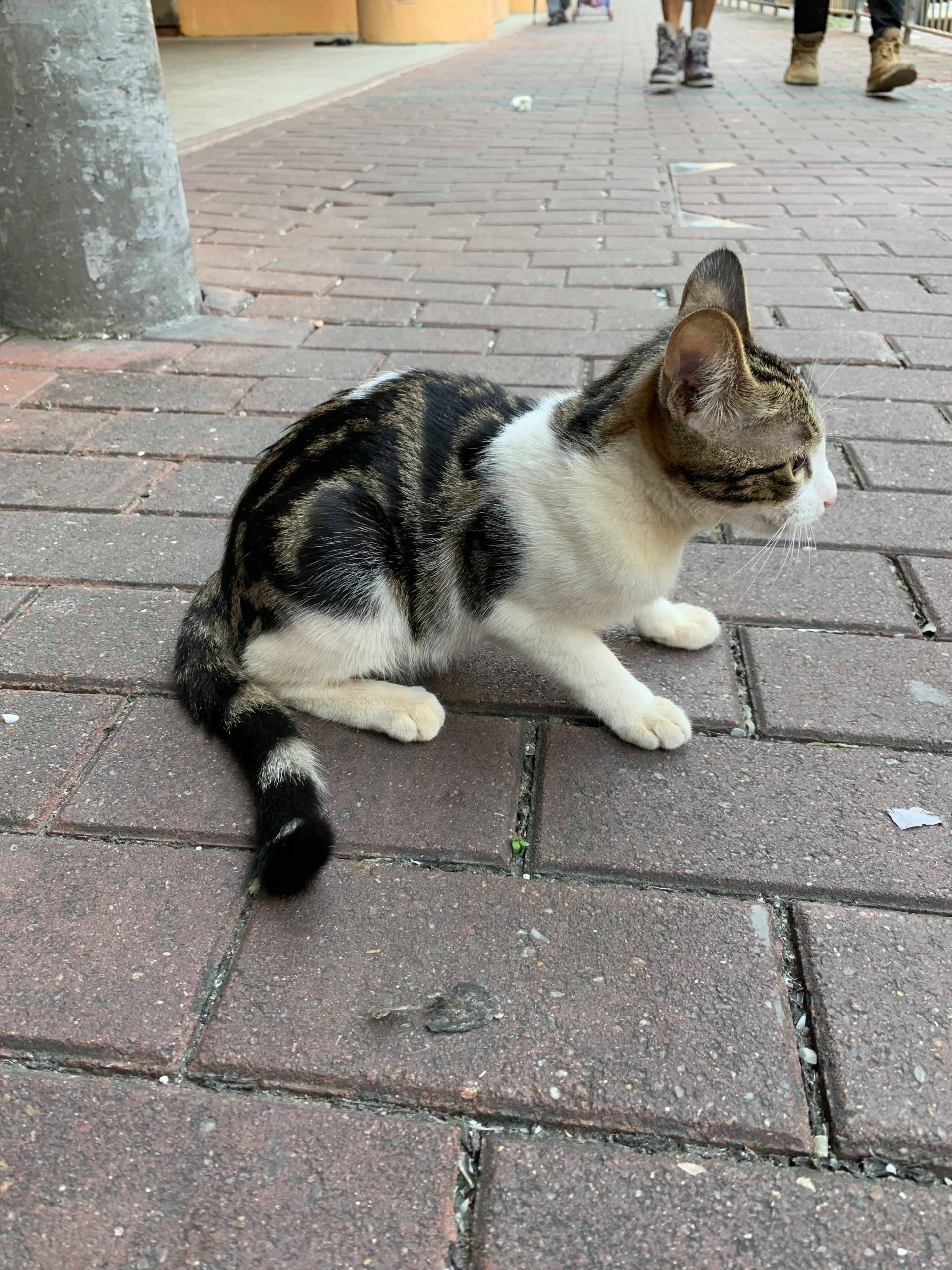 (受訪者提供) (受訪者提供)