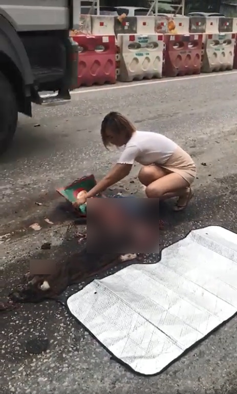 藝人安采妮在馬路見到一隻狗狗被撞死,不忍心牠被車輛狂輾,衝落車搬開屍體。(「陳達仁」fb影片截圖) 藝人安采妮在馬路見到一隻狗狗被撞死,不忍心牠被車輛狂輾,衝落車搬開屍體。(「陳達仁」fb影片截圖)