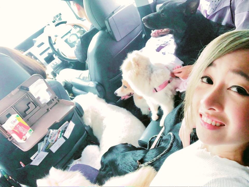 藝人安采妮主演的香港首部動保電影《毛俠》近日上映,她本身也是愛狗之人,不時貼出與愛犬合照。(fb「安采妮CharlieOn」照片) 藝人安采妮主演的香港首部動保電影《毛俠》近日上映,她本身也是愛狗之人,不時貼出與愛犬合照。(fb「安采妮CharlieOn」照片)