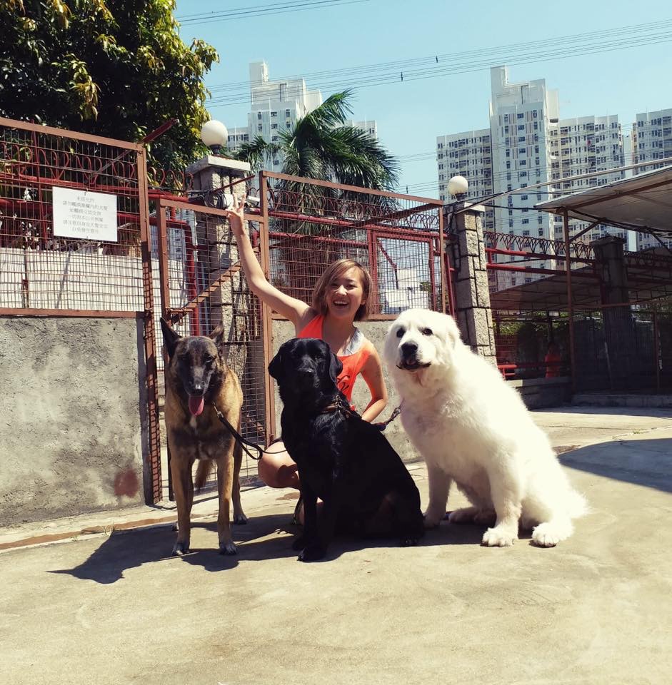 藝人安采妮主演的香港首部動保電影《毛俠》近日上映,她本身也是愛狗之人,不時貼出與愛犬合照。(fb「安采妮CharlieOn」照片) 藝人安采妮主演的香港首部動保電影《毛俠》近日上映,她本身也是愛狗之人,不時貼出與愛犬合照。(fb「安采妮CharlieOn」照片)