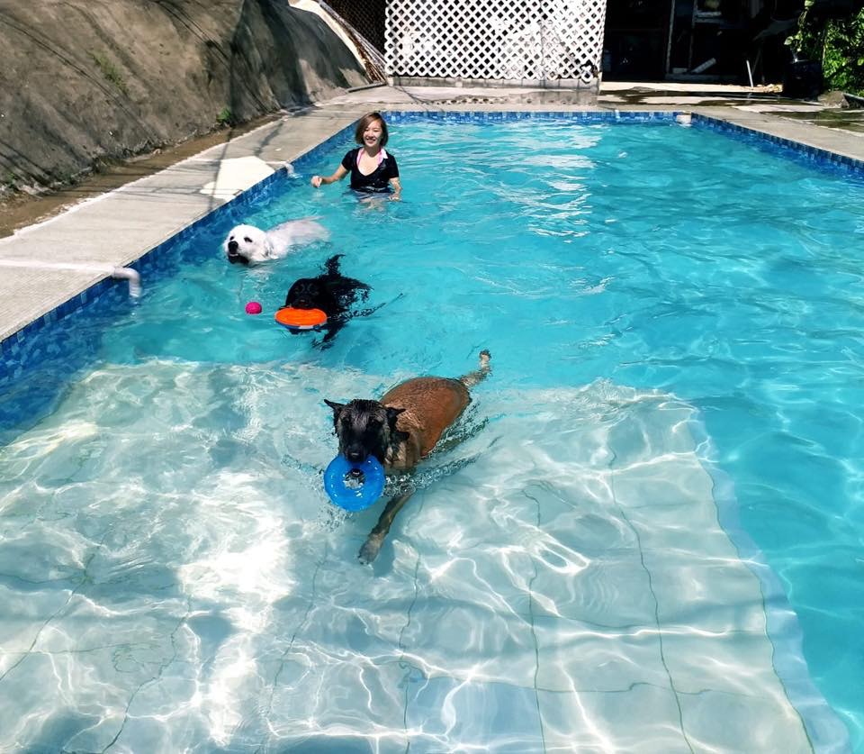 藝人安采妮主演的香港首部動保電影《毛俠》近日上映,她本身也是愛狗之人,不時貼出與愛犬合照。(fb「安采妮CharlieOn」照片) 藝人安采妮主演的香港首部動保電影《毛俠》近日上映,她本身也是愛狗之人,不時貼出與愛犬合照。(fb「安采妮CharlieOn」照片)