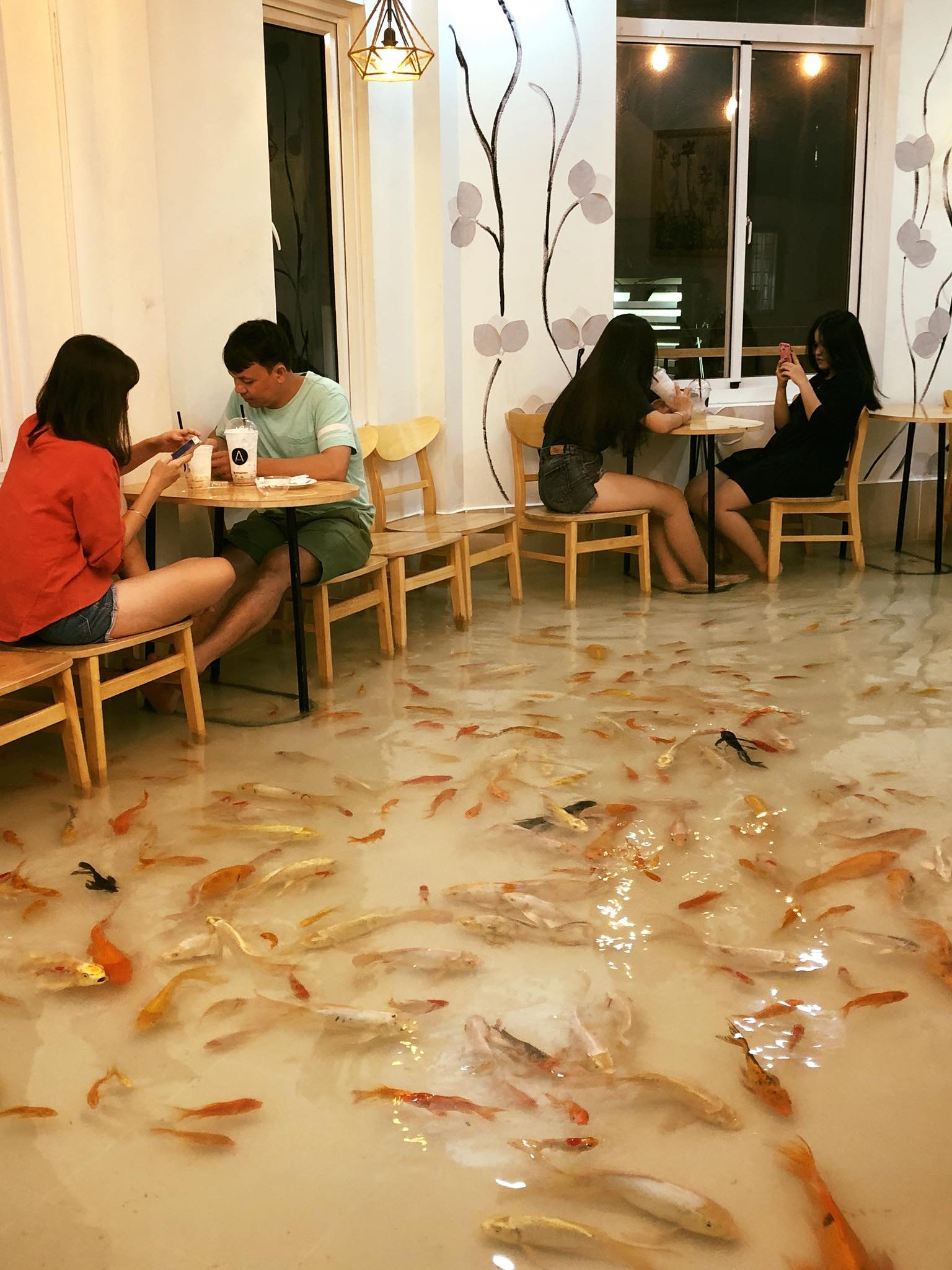 網民力量 越南地上魚池咖啡店屢踩死魚被轟老闆認衰改放魚缸