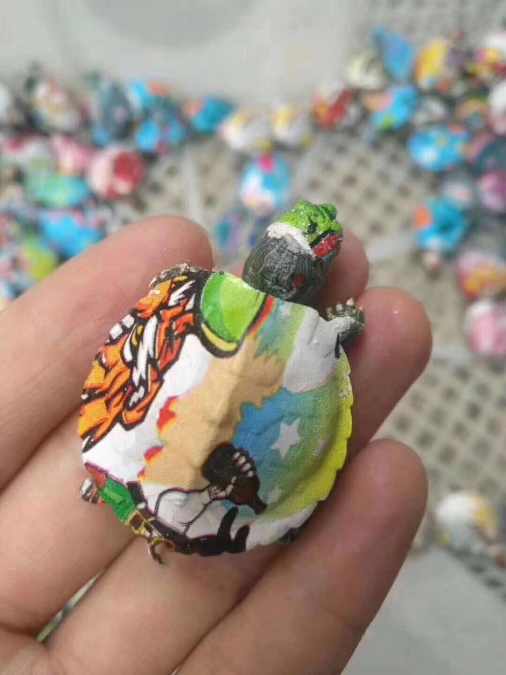 一隻隻活生生的烏龜被裝在圓形膠盒內,背部被人用顏料畫上色彩斑斕的圖案。(網上圖片) 一隻隻活生生的烏龜被裝在圓形膠盒內,背部被人用顏料畫上色彩斑斕的圖案。(網上圖片)