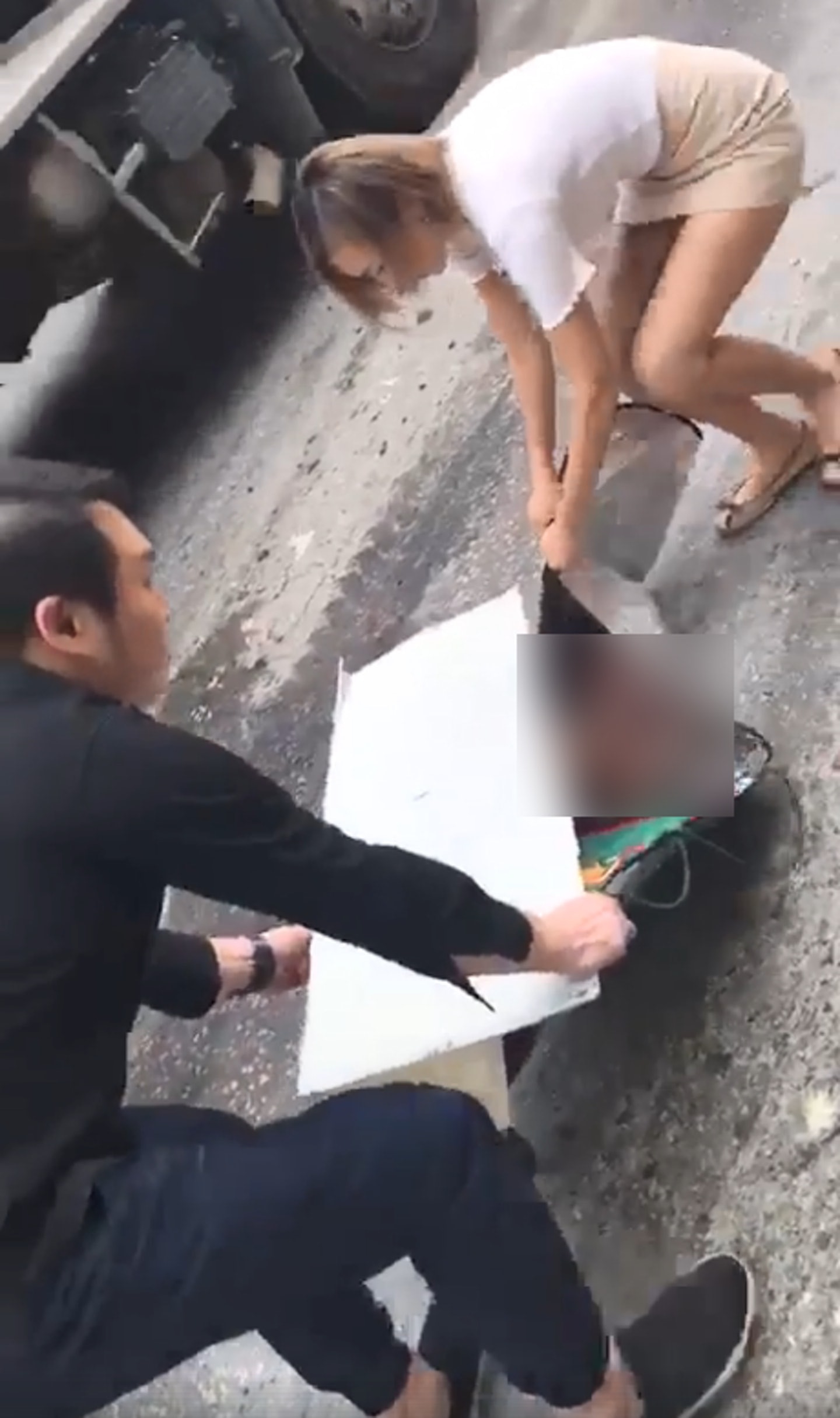 安采妮停車為毛孩收拾屍首。(陳達仁Facebook影片截圖) 安采妮停車為毛孩收拾屍首。(陳達仁Facebook影片截圖)