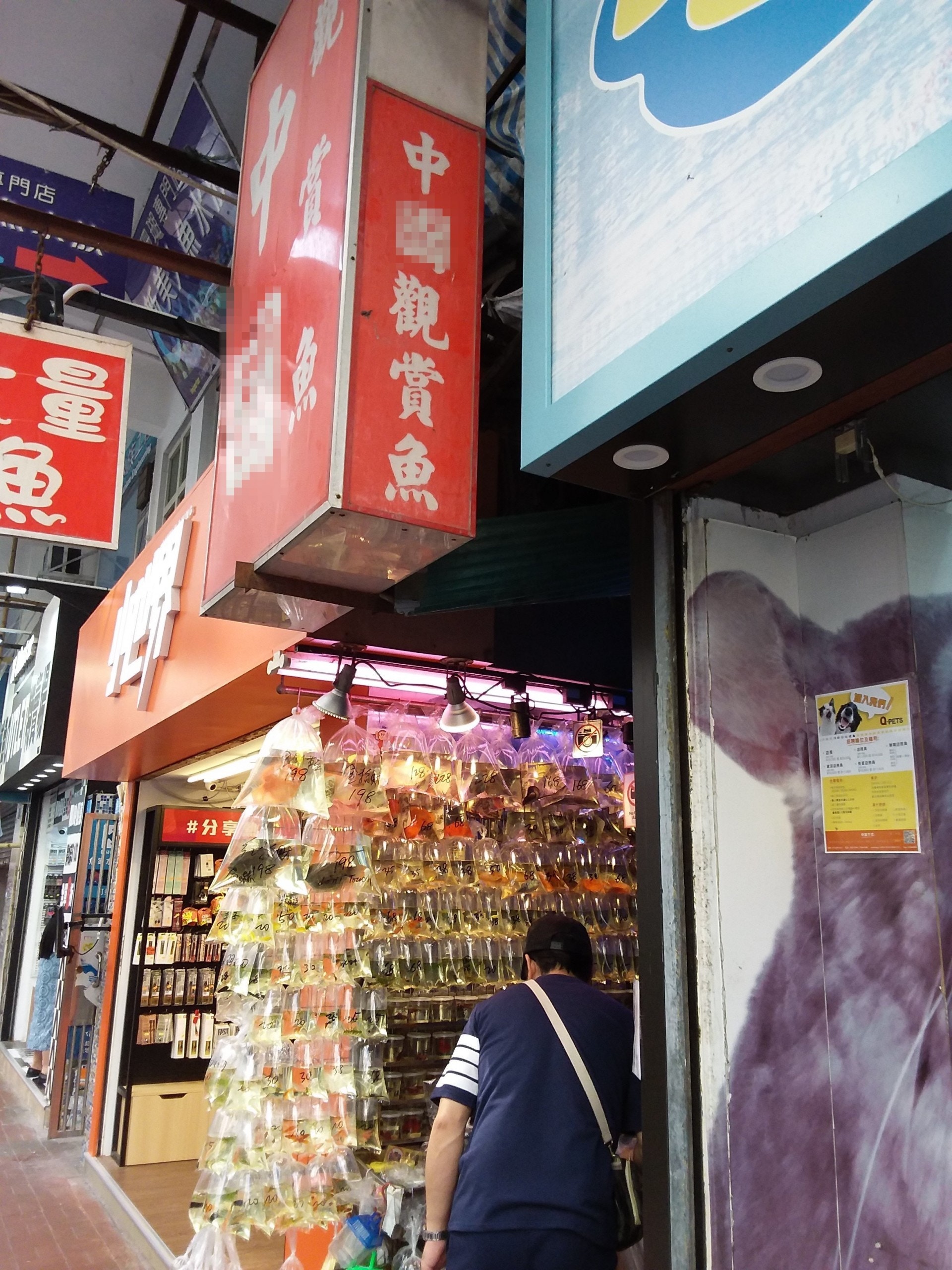 記者今天到場了解,本來放在門口的油彩龜已經消失不見。(黎凱容攝) 記者今天到場了解,本來放在門口的油彩龜已經消失不見。(黎凱容攝)