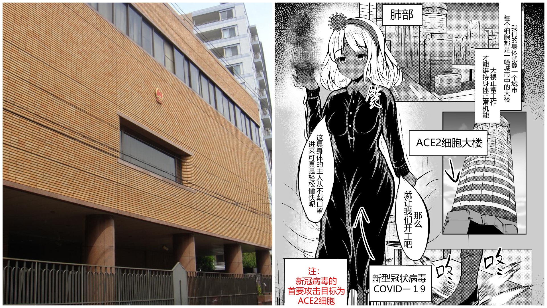 新冠肺炎 中國駐大阪總領館推主題漫畫介紹病毒入侵人體過程 香港01 即時中國 新冠肺炎 中國駐大阪總領館推主題漫畫介紹病毒入侵人體過程 香港01 即時中國