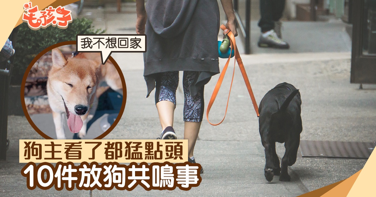 【放狗】別人在喊我家狗的名字 10件放狗你必遇過的事