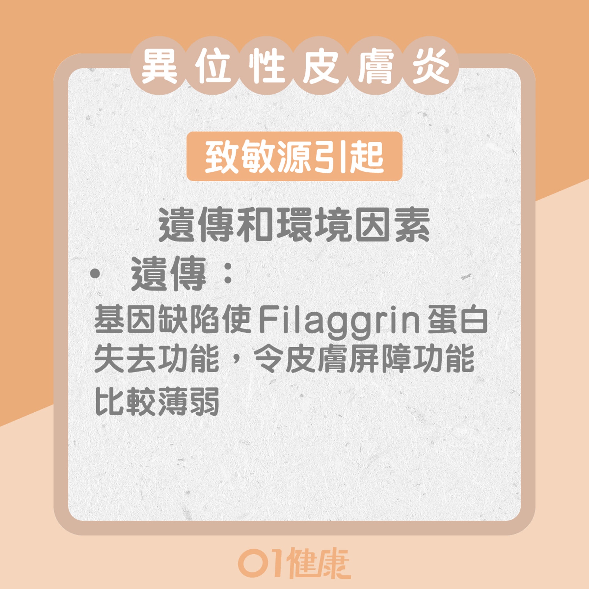 異位性皮膚和癬的異同(01製圖) 異位性皮膚和癬的異同(01製圖)