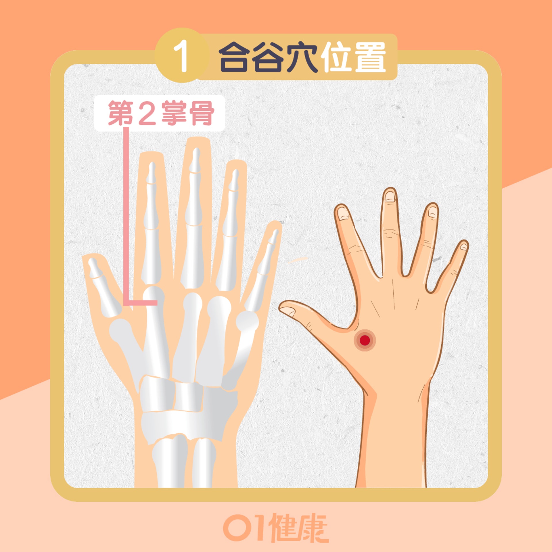 止癢穴位一:合谷穴(01製圖) 止癢穴位一:合谷穴(01製圖)