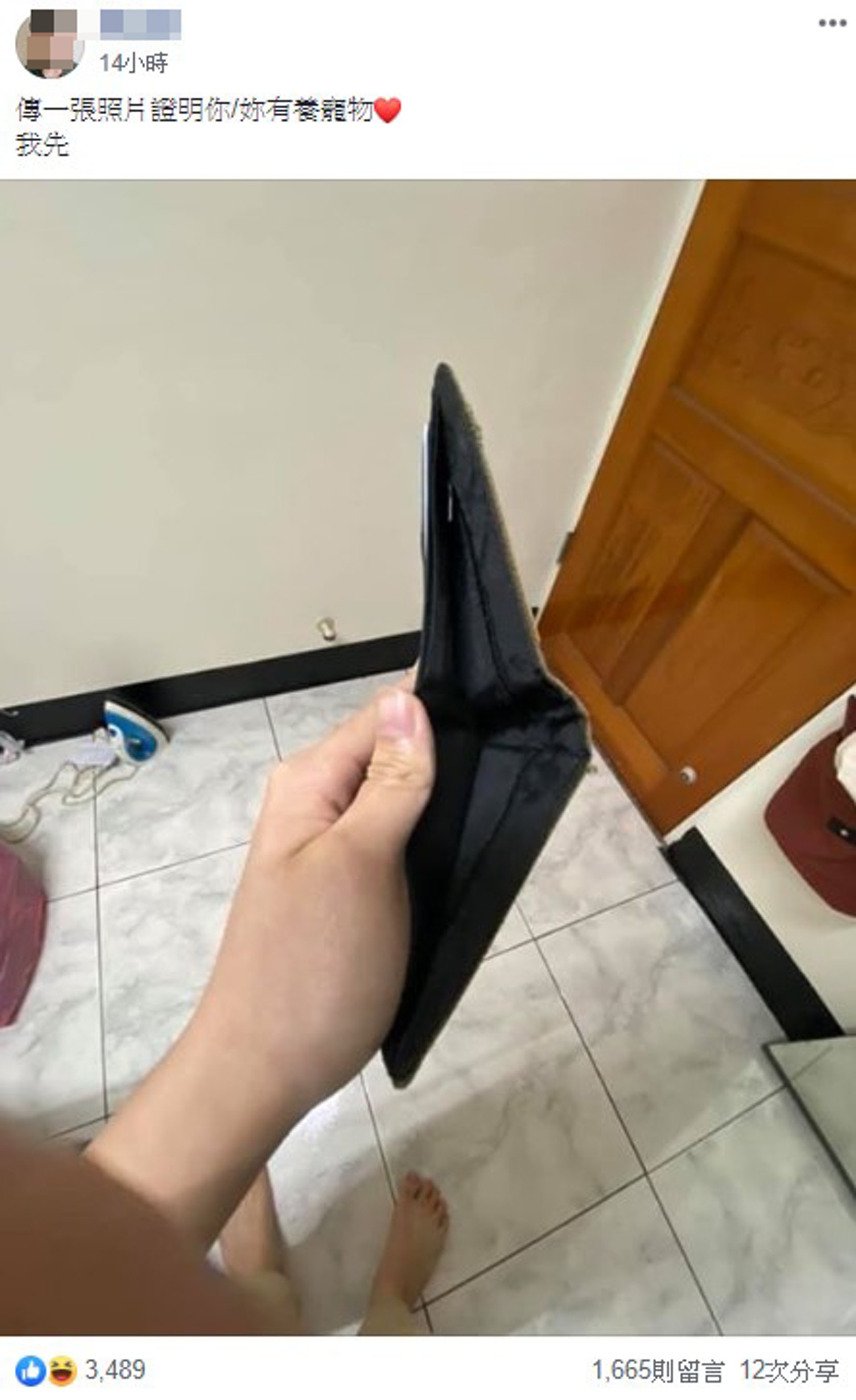 一位寵主昨晚在網上發起挑戰,提議其他寵主均上傳一張照片證明有養寵物。(Facebook@有點毛毛的) 一位寵主昨晚在網上發起挑戰,提議其他寵主均上傳一張照片證明有養寵物。(Facebook@有點毛毛的)