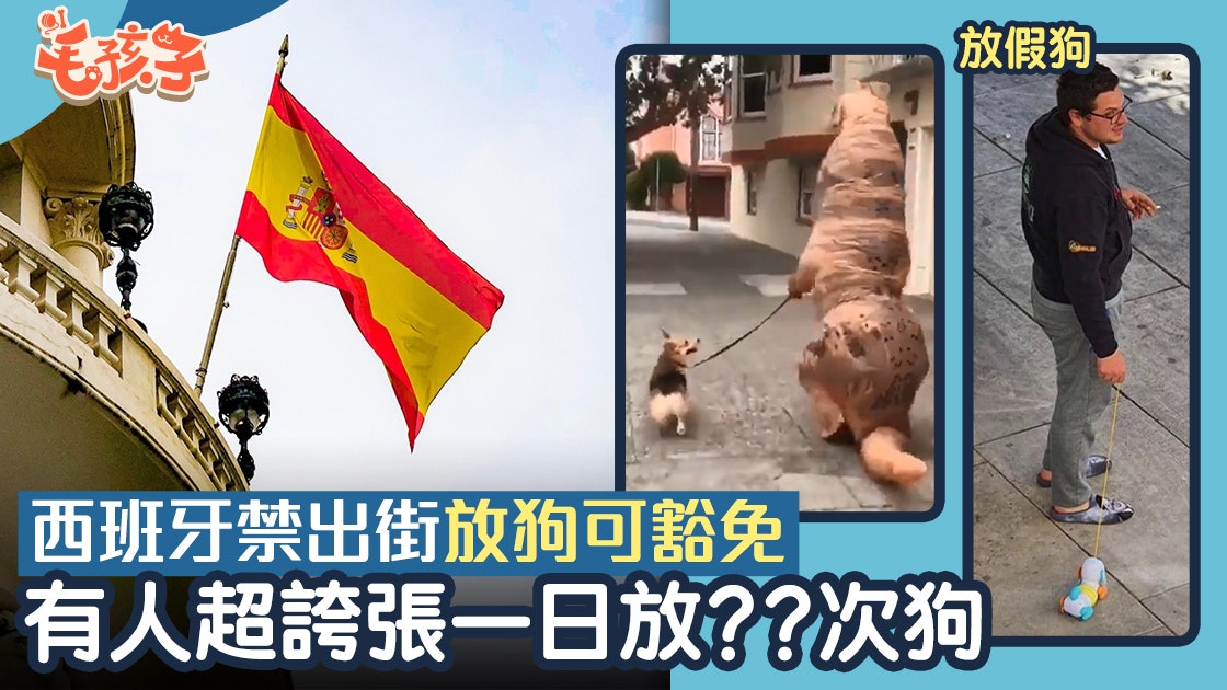 【新冠肺炎】西班牙禁出街 放狗可豁免 有人為離家狂放狗 【新冠肺炎】西班牙禁出街 放狗可豁免 有人為離家狂放狗