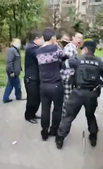 楊男被帶走。（影片截圖）