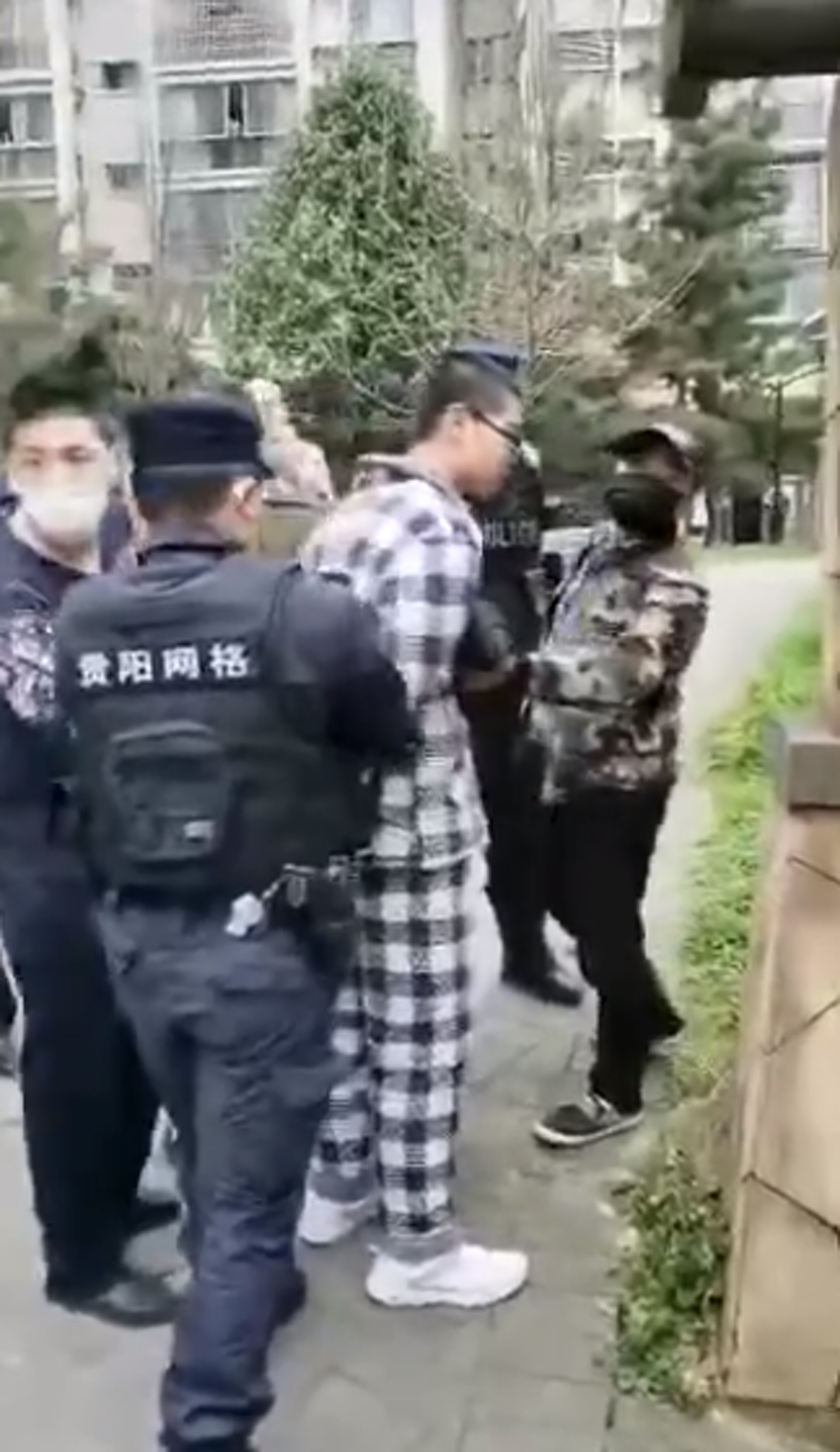 楊男被帶走。(影片截圖) 楊男被帶走。(影片截圖)