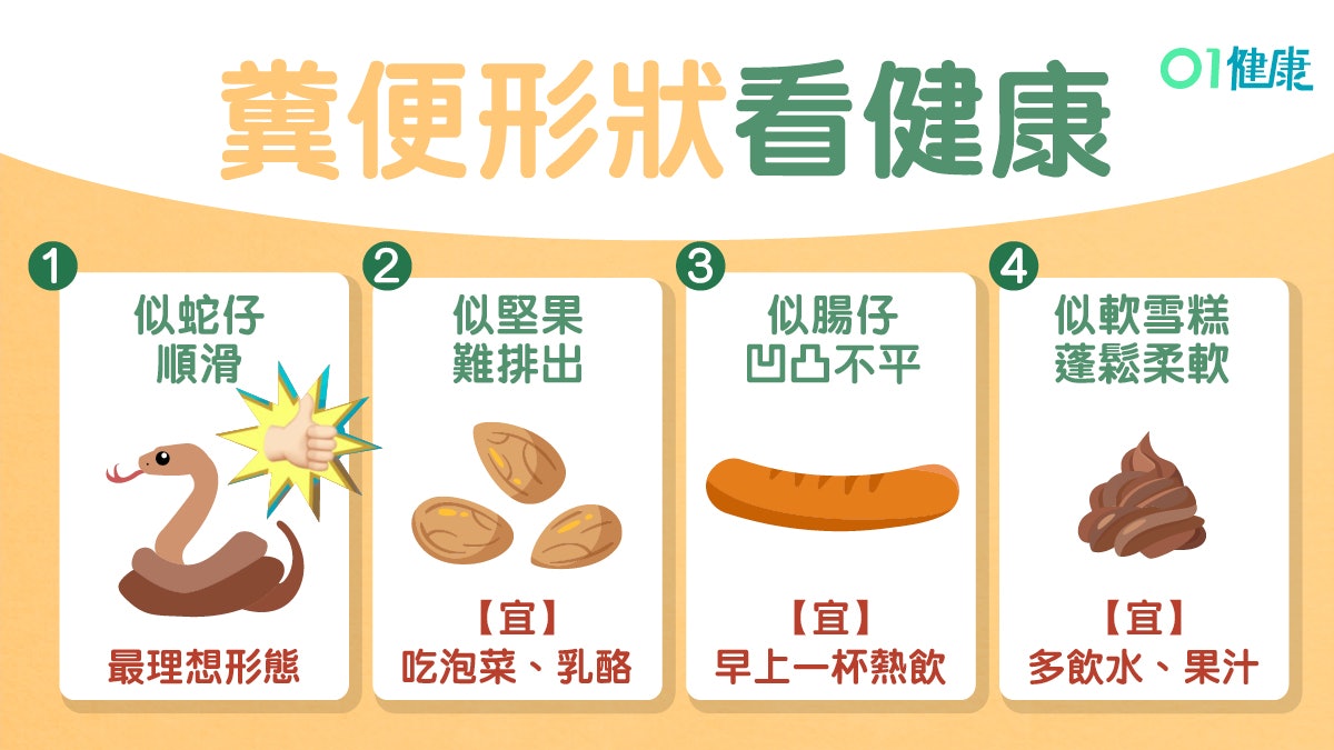 【便秘】糞便7種形狀知腸胃狀況 似堅果代表什麼?附防便秘飲食 【便秘】糞便7種形狀知腸胃狀況 似堅果代表什麼?附防便秘飲食
