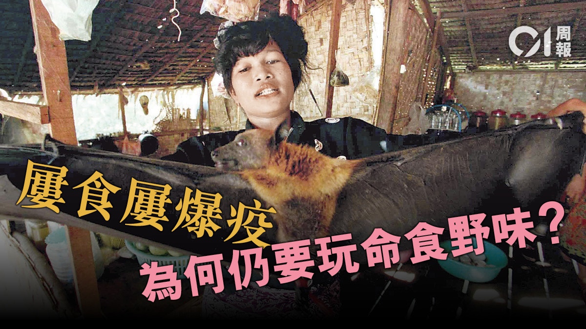 【新冠肺炎】山珍海味腐蝕公共衛生　捕食野生動物何以禁不絕？