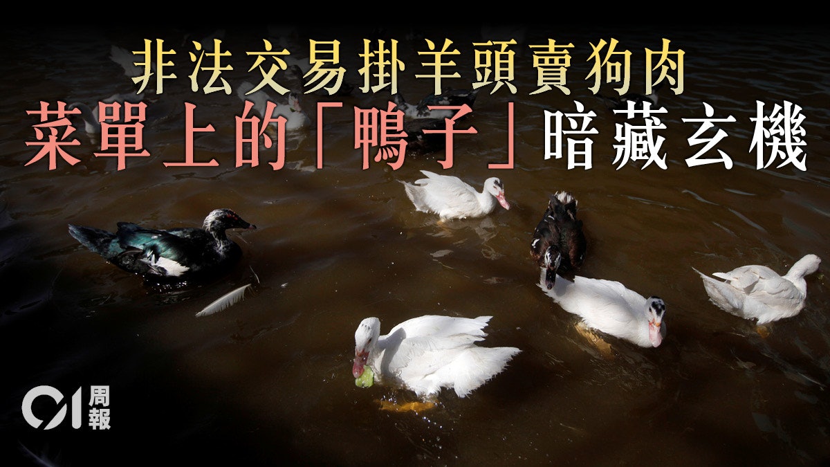 【新冠肺炎】禁食野味新規定存疏漏 落實監管才可治本 【新冠肺炎】禁食野味新規定存疏漏 落實監管才可治本