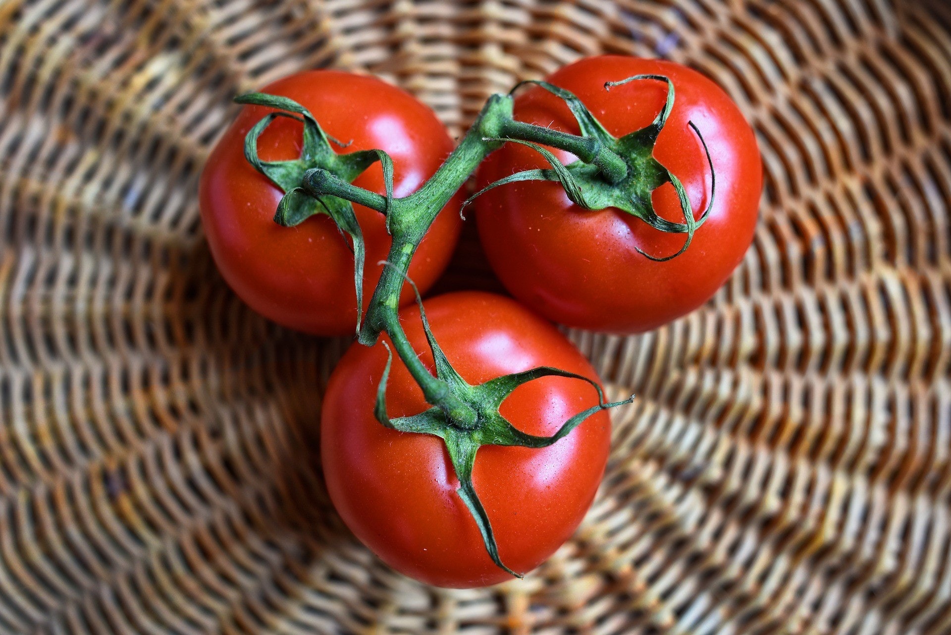 番茄堪比天然抗氧化劑，不過經冷藏後會引發低溫障礙，茄紅素大幅減少，反之加熱後卻更易被人體吸收。（Pixabay）