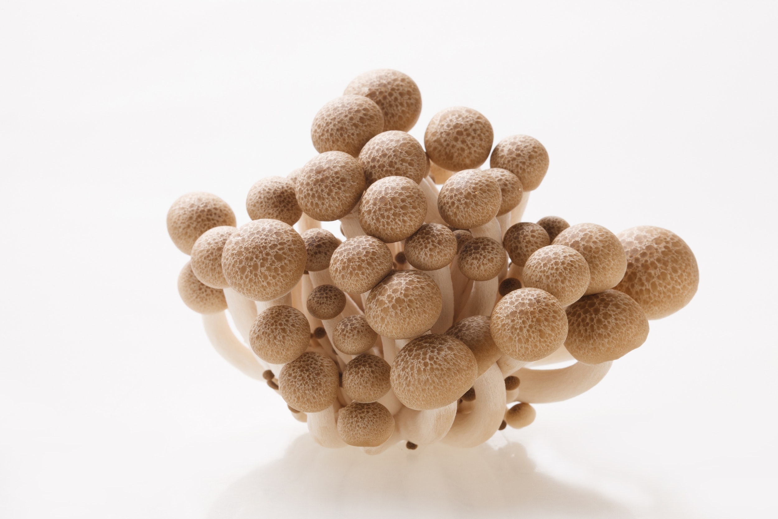 本菇｜屬於遇水就會膨脹的食物纖維，可有效產生飽足感，減低食量、防止食得過多。另外，食物纖維還可以幫助腸道大掃除，帶來排毒效果。（資料圖片）