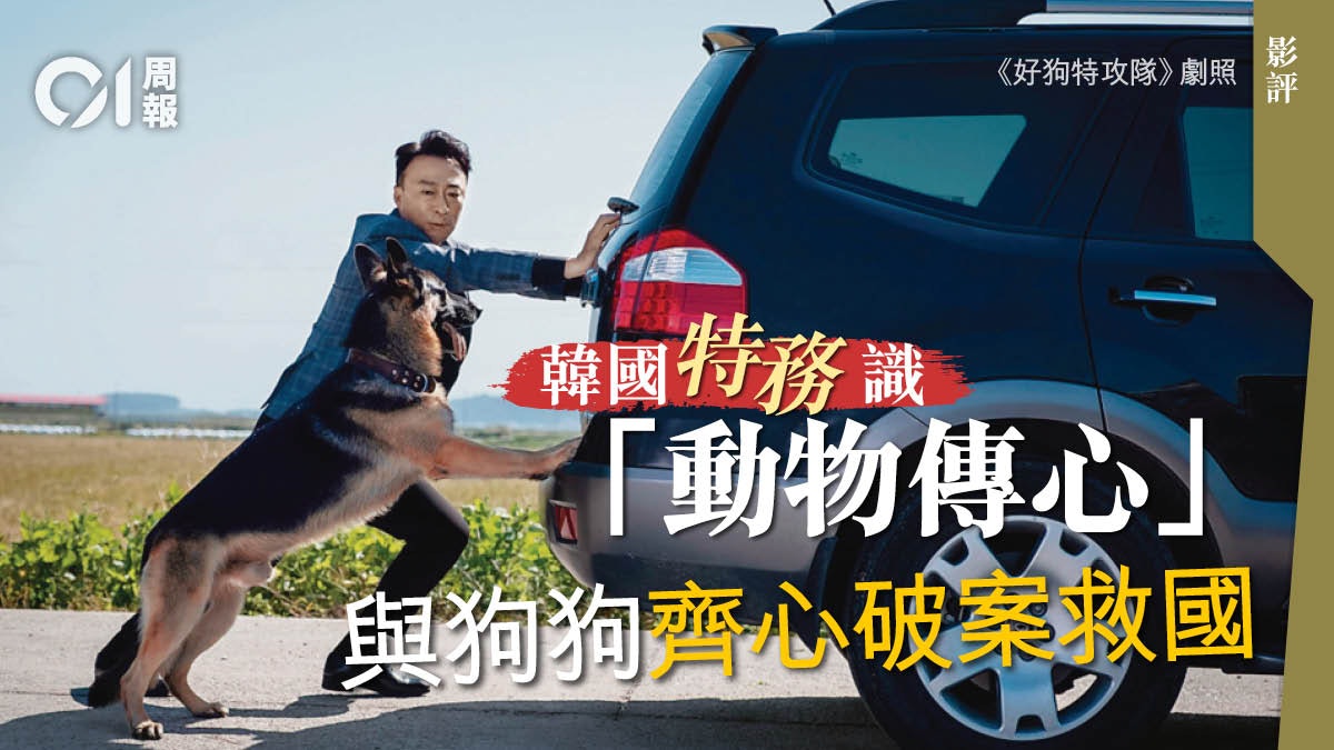 【好狗特攻隊.影評】笑聲背後反思動物福祉命題 【好狗特攻隊.影評】笑聲背後反思動物福祉命題