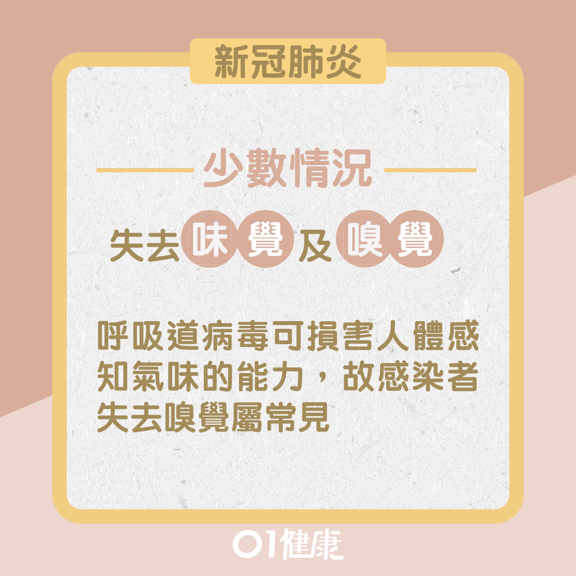 流感與新冠肺炎不同症狀(01製圖) 流感與新冠肺炎不同症狀(01製圖)
