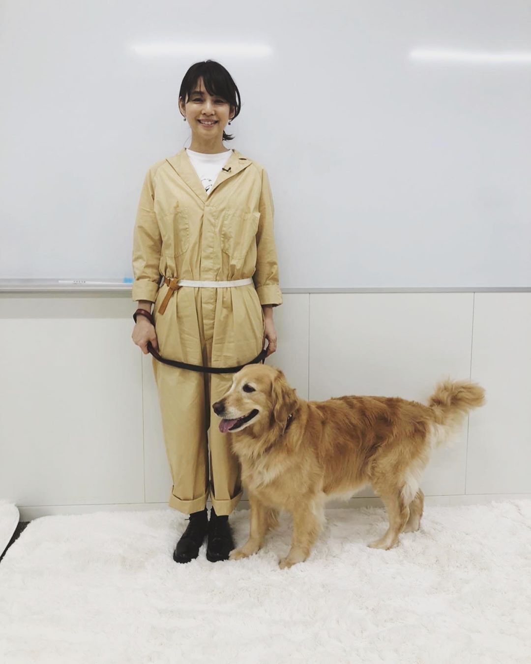 日男票選 療癒系 女星新垣結衣十甲不入擁小缺點比美貌吸引 日男票選 療癒系 女星新垣結衣十甲不入擁小缺點比美貌吸引