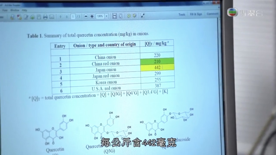 化驗結果顯示，以每公斤所含毫克來排行的話，槲皮素含量由高至低依次為日本洋葱、美國紅洋葱、日本紅洋葱、韓國洋葱、本地洋葱、中國紅洋葱。（《X偏方：全民拆解II》節目截圖）