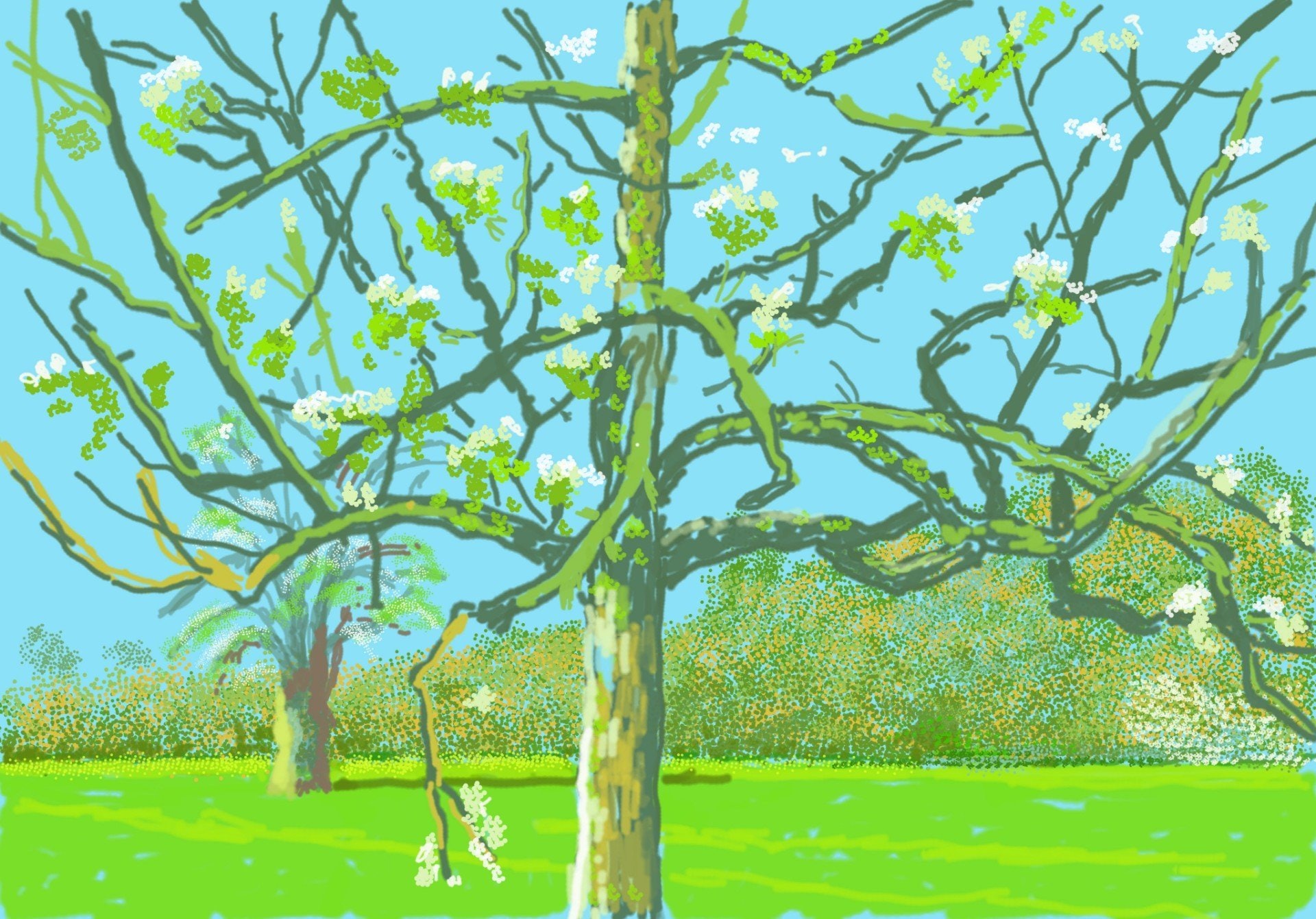 David Hockney最近公開10幅新作,在疫境中帶來春日暖意。(David Hockney) David Hockney最近公開10幅新作,在疫境中帶來春日暖意。(David Hockney)