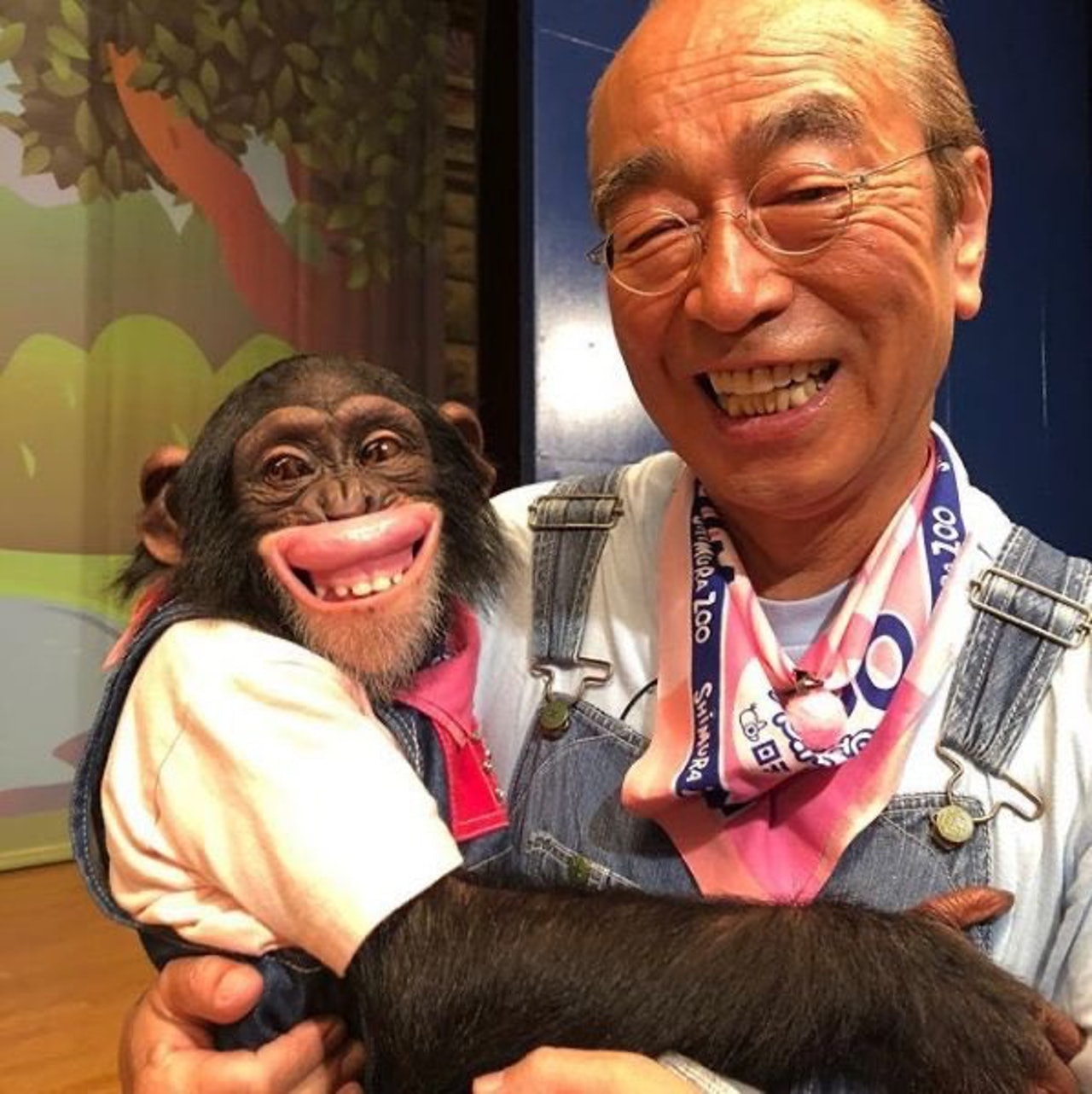 道別一幕曝光 阿笨不捨志村健追上討抱抱網民心痛3拍檔只剩牠 香港01 熱爆話題