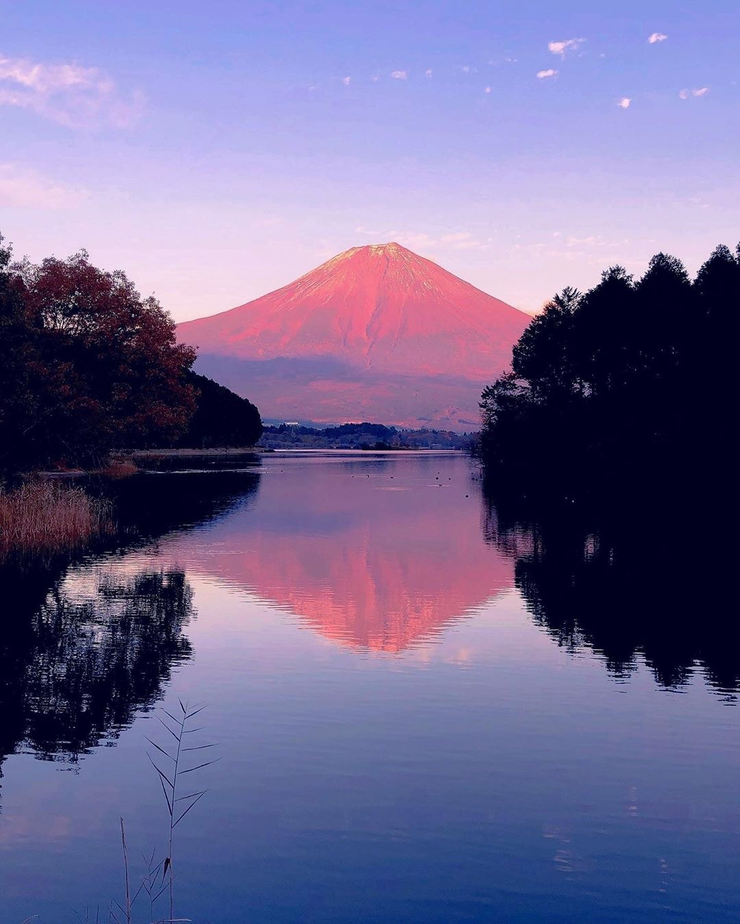 10個日本人未必知的富士山冷知識！特定條件下變身激罕「赤富士」