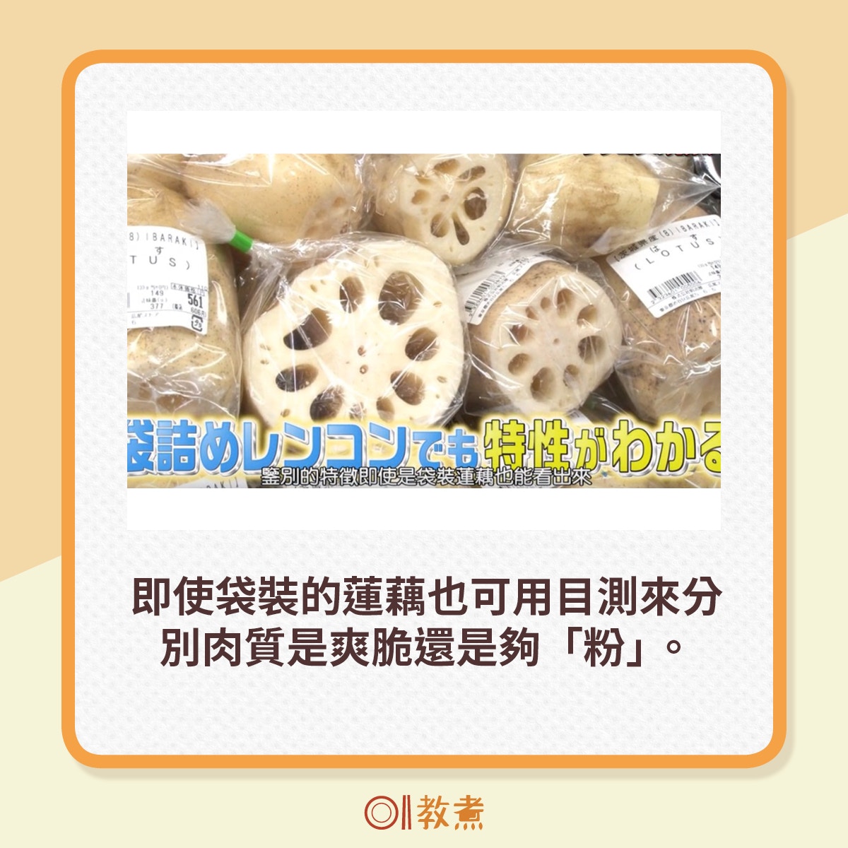 鑒別蓮藕的方法。（《相葉學》影片截圖）